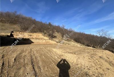 Teren intravilan de 1641 mp cu PUZ aprobat si utilitati in Cisnadioara - 10