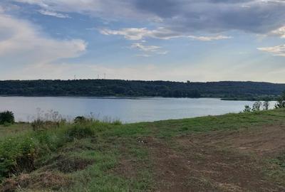 Teren cu vedere la Dunăre în Șimian - 1