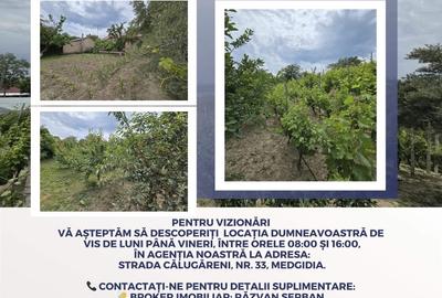 Casă de Vis în Satul Rasova, Constanța - 4
