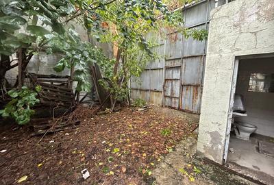 Rahova,Alexandriei,Lukoil, Str Teiului,219 mp teren,P+1,Necesita RENOVARE - 9