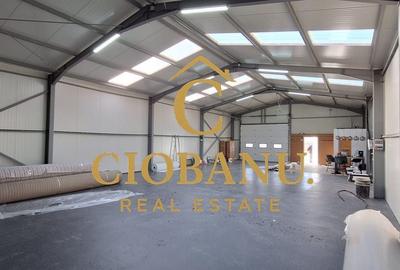 Hala de vanzare in Racarii de Jos - 3