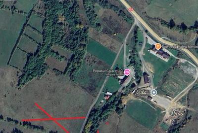 Teren Rasnov Zona Cheia 10000 Mp New 2026 - 1