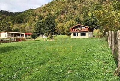 Casa de vacanta/pensiune cu teren de 3780mp | Clisura Dunarii - 2