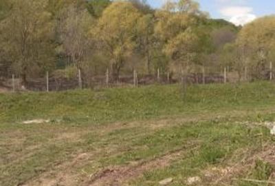 Teren de 2100 mp, în Vălenii de Munte - 2