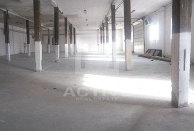 Hala cu curte 3000 mp || vizibilitatea maxima la str . Traian Vuia - 4