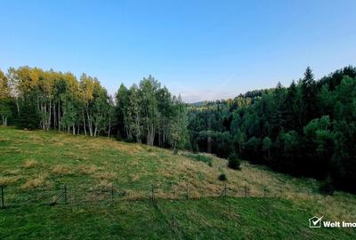Casa de Poveste in Rasca, Cluj - Refugiul Ideal pentru  Relaxare - 38