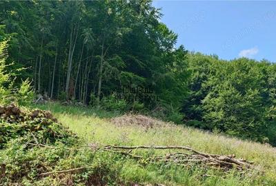 Teren de 5727 mp, în Buceș - 13