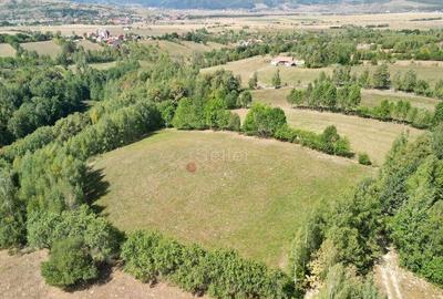 Teren de 10000 mp, în Sohodol - 6