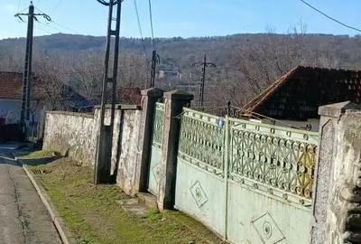 Casă cu 3 camere în Turcinești - 3