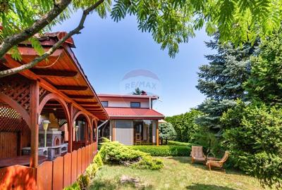 Vanzare Casa de vacanta Brebu, Prahova, Campina cu gradina si livada - 5