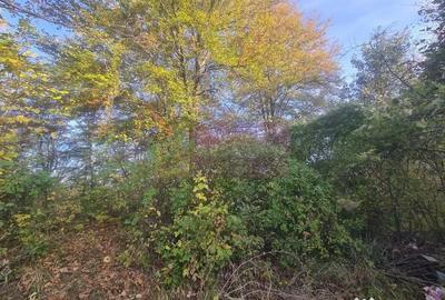 Teren de 3092 mp, în Telega - 3