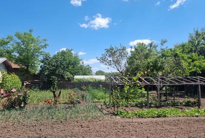 Casă cu 4 camere în Chirnogi - 5