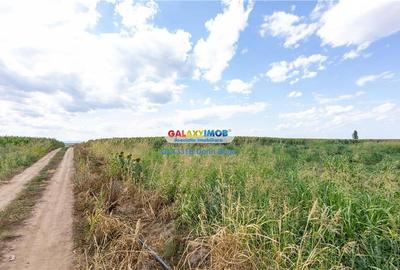 Teren agricol extravilan 2.6 ha - 26.000 mp - Valcelele, Buzau - 10