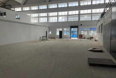 Spațiu industrial, de 5,400 mp, în Giurgiului - 4