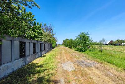 Teren Construcții intravilan de 1800 mp, în Domnești - 1
