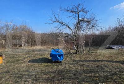 Casă cu 3 camere cu Teren 3000 Mp în Central - 2