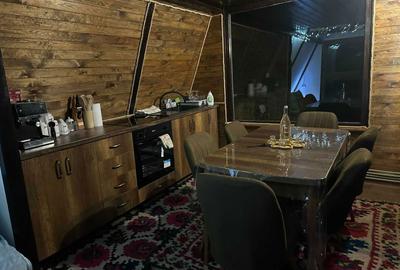 Casă cu 2 camere în Iapa - 4