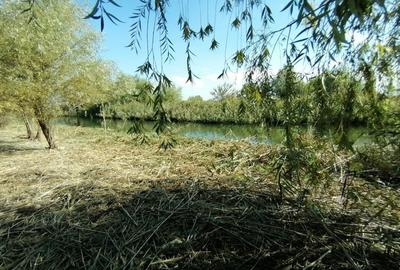Casa si teren deschidere canal - 11