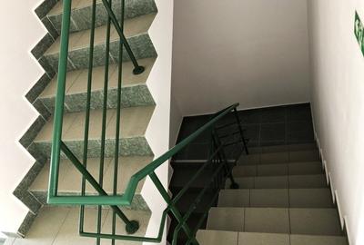 Vila 8 cam. bd. Timisoara stradal-oportunitate comerciala si rezidentiala unica - 10