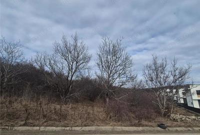 Teren de 2160 mp, în Sigmir - 4