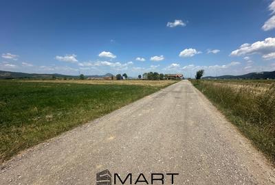 Teren 5000 mp Glajerie, zona Rasnov - 7