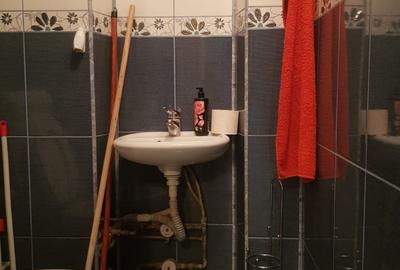 Inchiriere apart 3 camere cu 2 bai, etaj 1, vis-a-vis de Grand Arena, 450 euro - 13