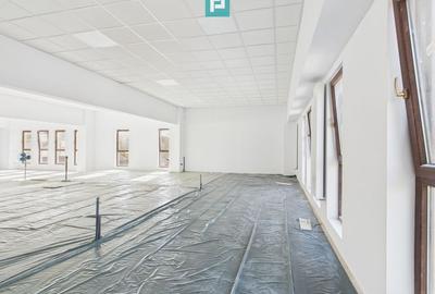 Spații Comerciale între 70 și 350 mp în Dumbrăvița - 3