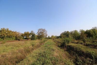 Teren Construcții intravilan de 5963 mp, în Dămăroaia - 8