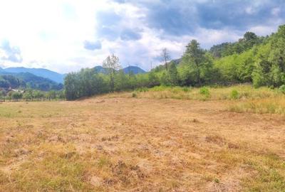 Spațiu comercial, în Malaia - 4