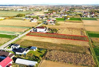 Teren intravilan de vanzare 3000 mp, Botiz, str. Sirul Mare, la doar 7 km de centrul Satu Mare - 2