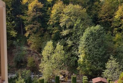 Casă cu 10 camere cu Teren 1292 Mp în Moieciu - 14