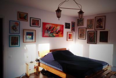Apartament cu 2 camere decomandat în Dosu Bricii - 4