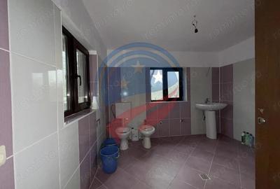 Casă cu 3 camere cu Teren 2540 Mp în Vulpeni - 9