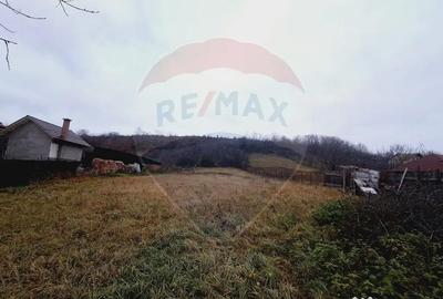 Casă cu 2 camere cu Teren 2443 Mp în Hidiș - 3