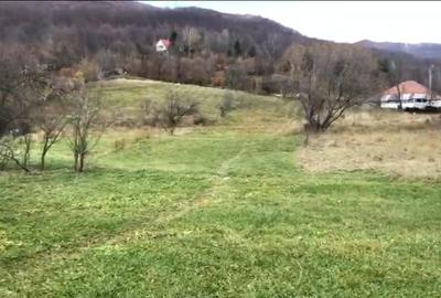 +447449296925 Teren intravilan pe strada principală – Slănic-Moldova, 1.000 mp - 3