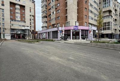 Apartament cu 3 camere în Mioriței - 1