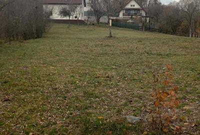 Casă cu 5 camere cu Teren 6200 Mp în Făget - 10