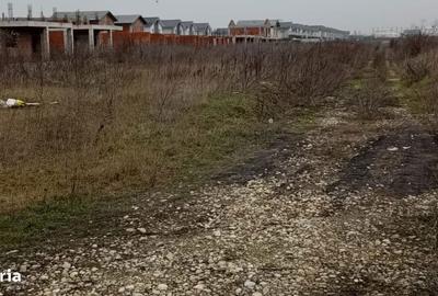 Spațiu comercial, în Corbeanca - 4