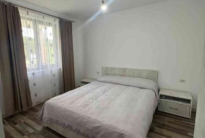 Casă cu 4 camere cu Teren 3808 Mp în Mestecăniș - 12