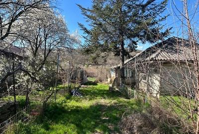 Casă cu 3 camere cu Teren 3843 Mp în Ciucurova - 1