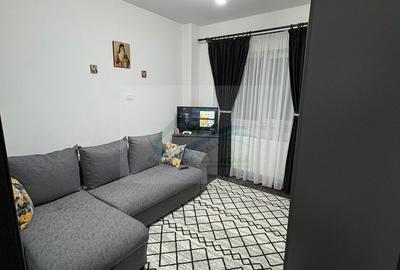 Apartament cu 2 camere decomandat în Paltin - 3