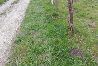 Teren de 330 mp, în Cheia - 2