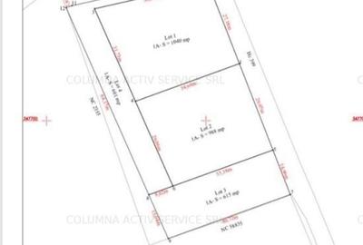 Saftica Primarie 3244 mp lotizat - 7