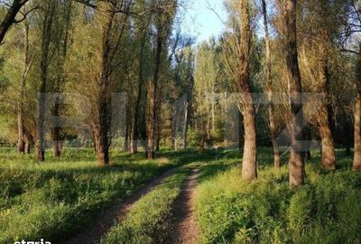 Teren de 120000 mp, în Pojejena - 3