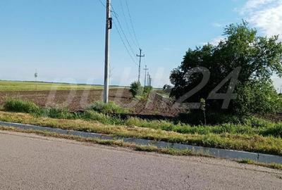Teren de 10200 mp, în Sârbeni - 2