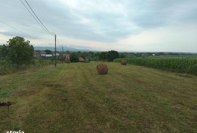 Spațiu comercial, în Răchita - 13