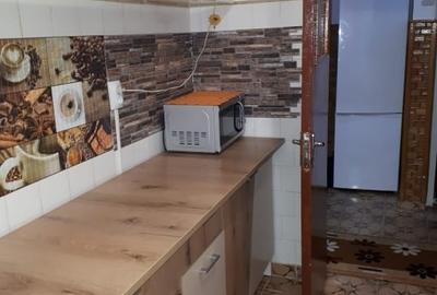 Apartament cu 2 camere, mobilat în Podu Roș - 3