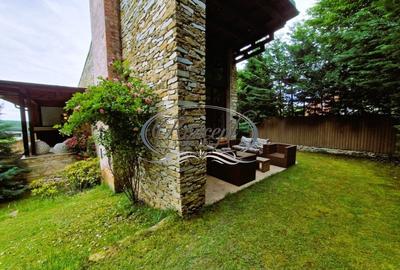 Casa deosebita in Faget - 2