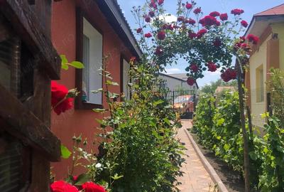 Casă cu Teren 2750 Mp în Vulpeni - 3