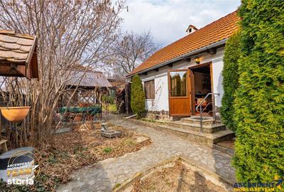 Casă cu 3 camere cu Teren 321 Mp în Chichiș